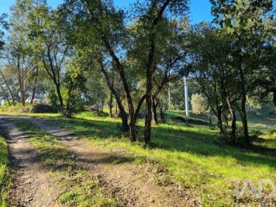 Vente Terrain VILA-NOVA-DE-POIARES 3350