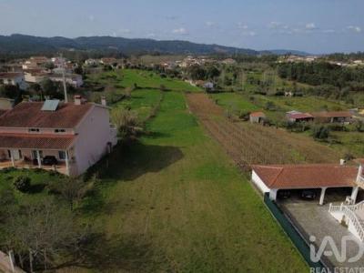Vente Terrain VILA-NOVA-DE-POIARES 3350