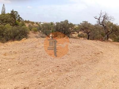 Vente Terrain VILA-REAL-DE-SANTO-ANTONIO 8900