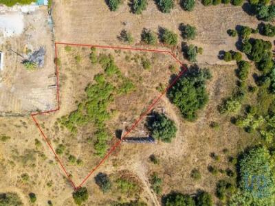 Vente Terrain VILA-REAL-DE-SANTO-ANTONIO 8900