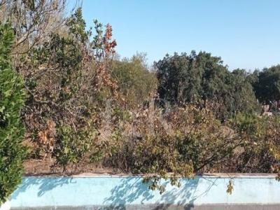 Vente Terrain VILA-VICOSA 7160