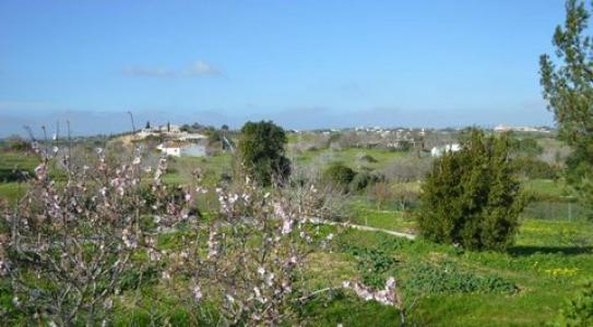 Acheter Terrain Lagos rgion FARO