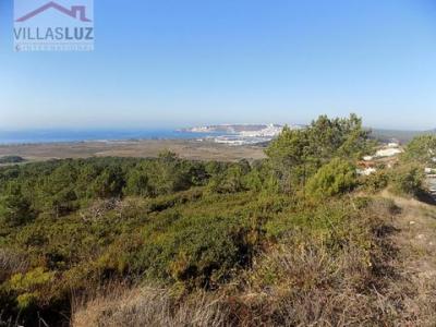 Annonce Vente Terrain Nazare