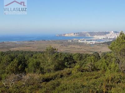 Acheter Terrain Nazare rgion LEIRIA