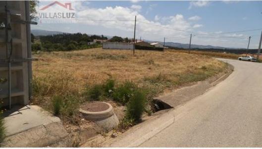 Annonce Vente Terrain Alcobaca