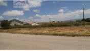 Vente Terrain ALCOBACA 2460