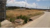 Annonce Vente Terrain ALCOBACA