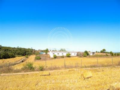 Vente Terrain Aljezur  08 au Portugal