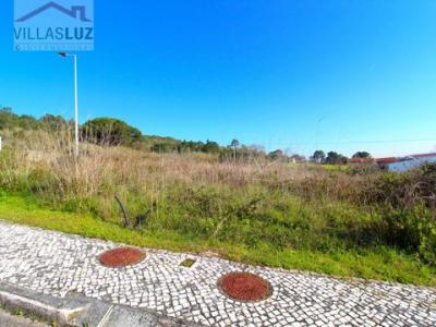 Annonce Vente Terrain Nazare