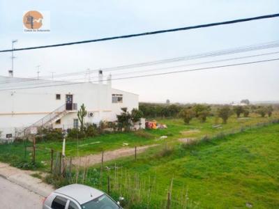 Annonce Vente Terrain Vila-real-de-santo-antonio