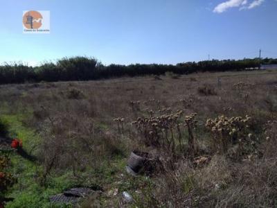 Acheter Terrain 2070 m2 Loule