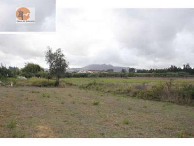 Annonce Vente Terrain Sintra