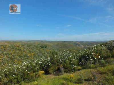 Acheter Terrain Vila-real-de-santo-antonio rgion FARO