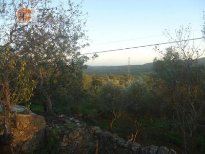 Acheter Terrain Tavira rgion FARO