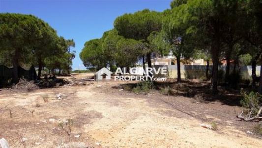 Annonce Vente Terrain Loule