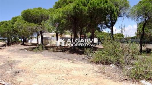 Acheter Terrain 222 m2 Loule