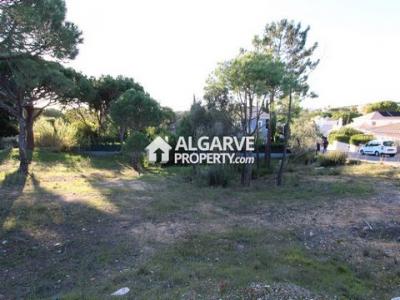 Annonce Vente Terrain Almancil