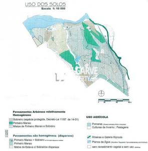 Acheter Terrain 32767 m2 Silves