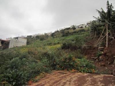 Acheter Terrain 5090 m2 Funchal