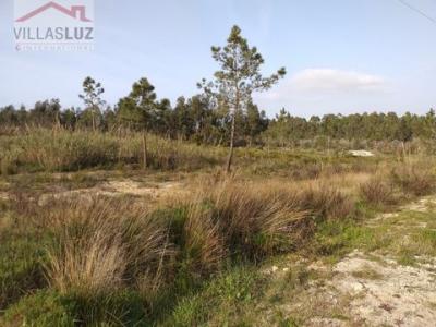 Annonce Vente Terrain Caldas-da-rainha