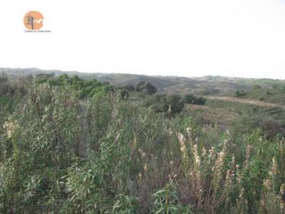 Acheter Terrain 5560 m2 Castro-marim