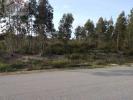 Vente Terrain CALDAS-DA-RAINHA 2500