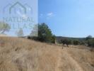 Acheter Terrain 260 m2 SILVES