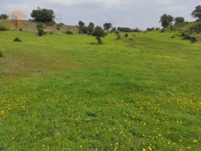 Annonce Vente Terrain Castro-marim