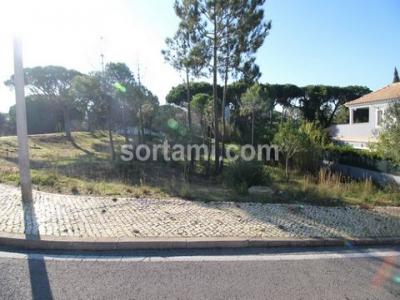 Annonce Vente Terrain Loule