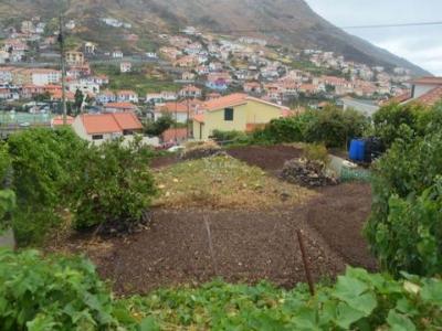 Annonce Vente Terrain Machico