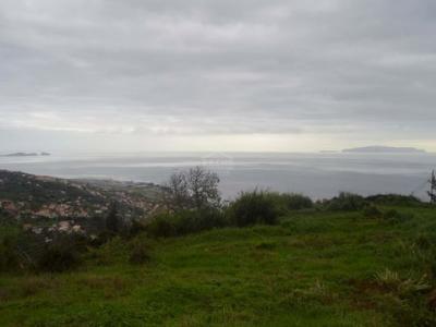 Annonce Vente Terrain Santa-cruz