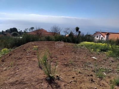 Annonce Vente Terrain Calheta