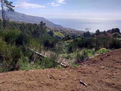 Acheter Terrain 1760 m2 Calheta