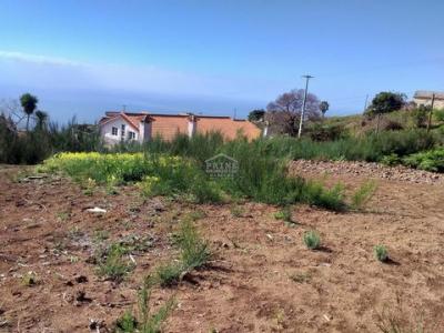 Acheter Terrain Calheta rgion MADEIRA