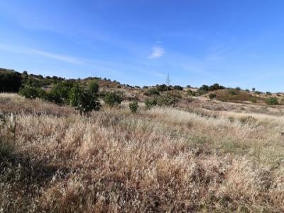 Annonce Vente Terrain Castro-marim