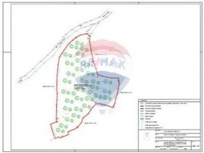 Acheter Terrain Rossas