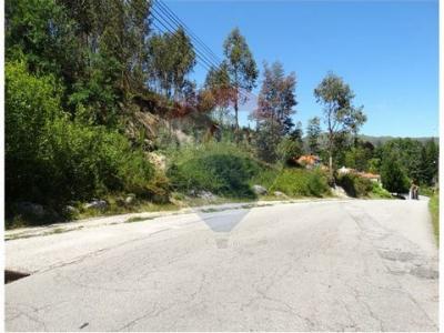 Annonce Vente Terrain Vieira-do-minho