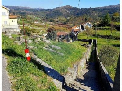 Acheter Terrain 548 m2 Vieira-do-minho