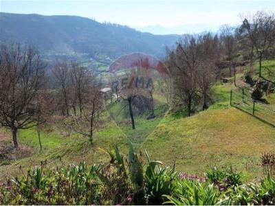 Annonce Vente Terrain Rio-douro