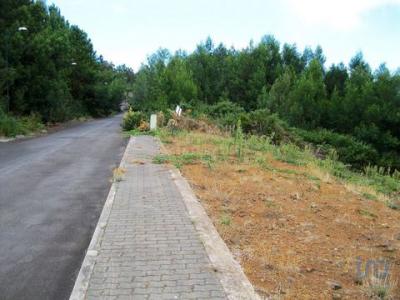 Annonce Vente Terrain Santa-cruz