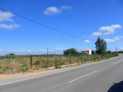 Acheter Terrain 4530 m2 Loule