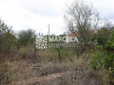 Acheter Terrain 900 m2 Mexilhoeira-grande