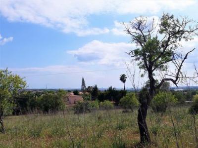 Acheter Terrain Albufeira rgion FARO