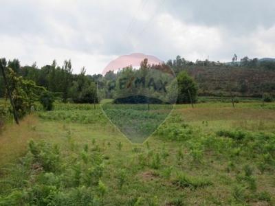 Acheter Terrain Vale-de-bouro rgion BRAGA