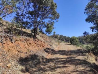 Acheter Terrain 5550 m2 Tavira