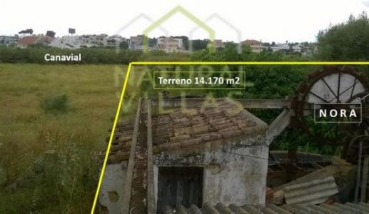 Acheter Terrain 14170 m2 Faro