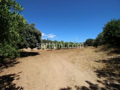 Annonce Vente Terrain Faro