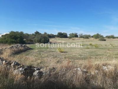 Acheter Terrain 68 m2 Olhao