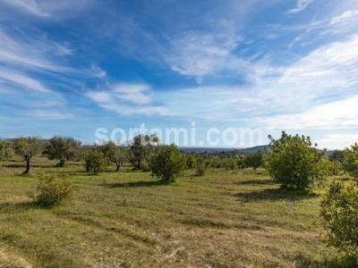 Acheter Terrain Loule rgion FARO