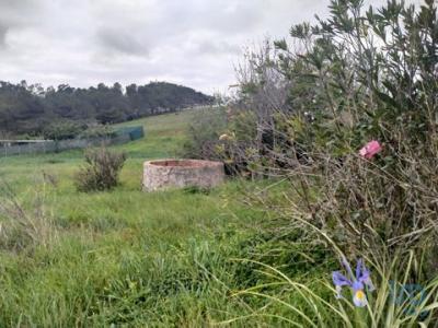 Annonce Vente Terrain Vila-do-bispo